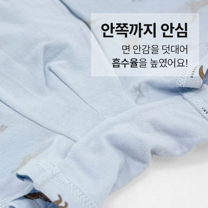 남아 디노버터 (에어로실스판)