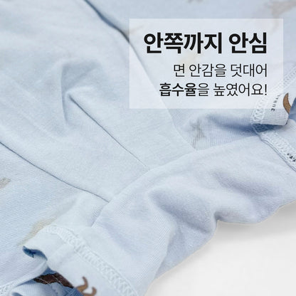 남아 디노버터 (에어로실스판)