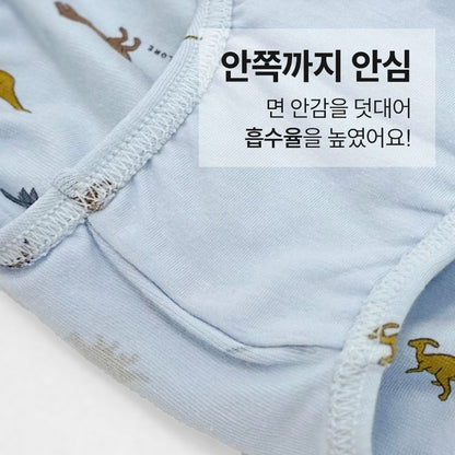 남아 디노버터 (에어로실스판)