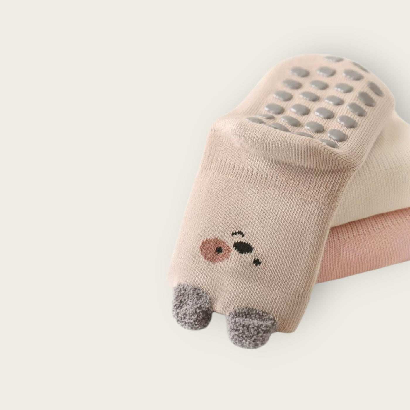 람쥐 5종