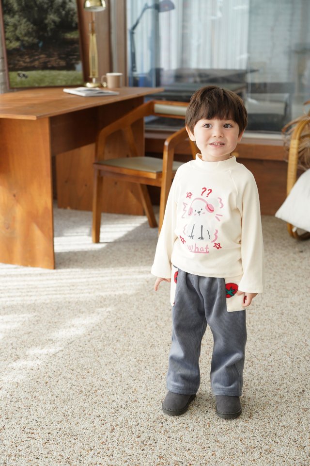 귀돌이반폴라티